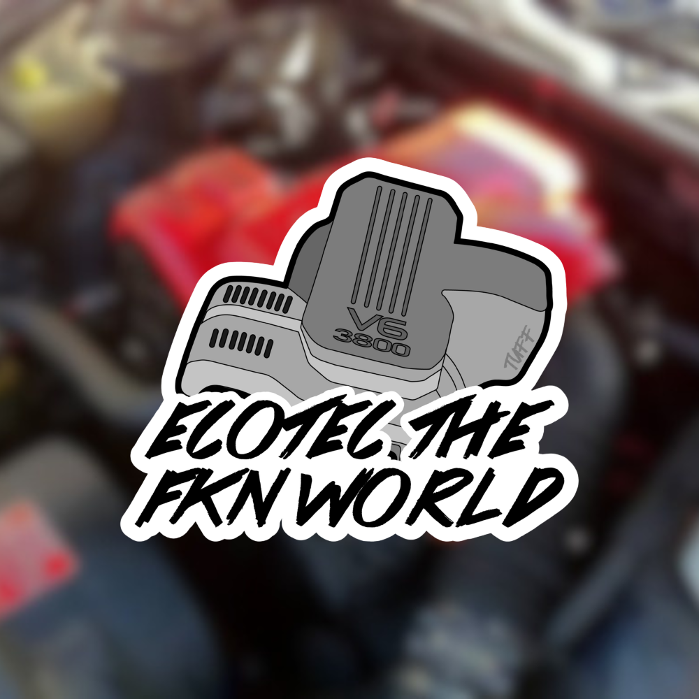 ECOTEC THE WORLD STICKER